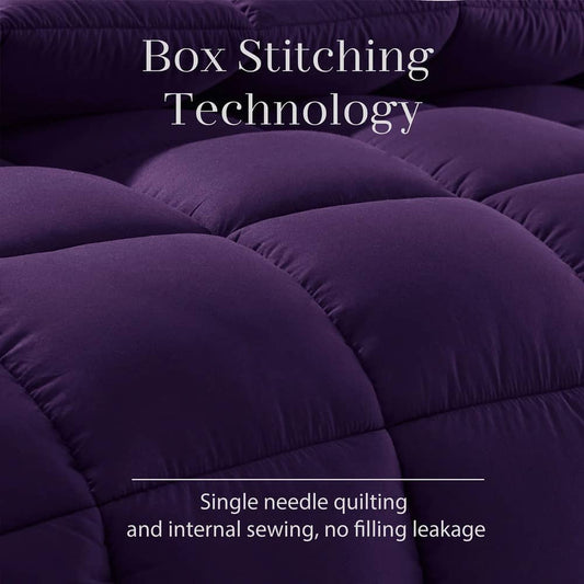 Premium Comforter - Purple